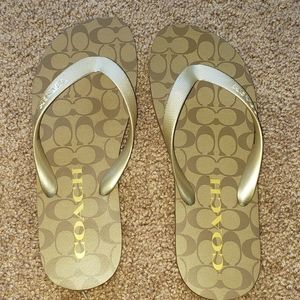 Coach Zak Flip Flops